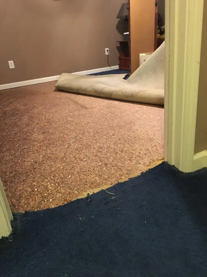 Carpet pad removal revealing water damage during Drying & Dehumidification in Duarte